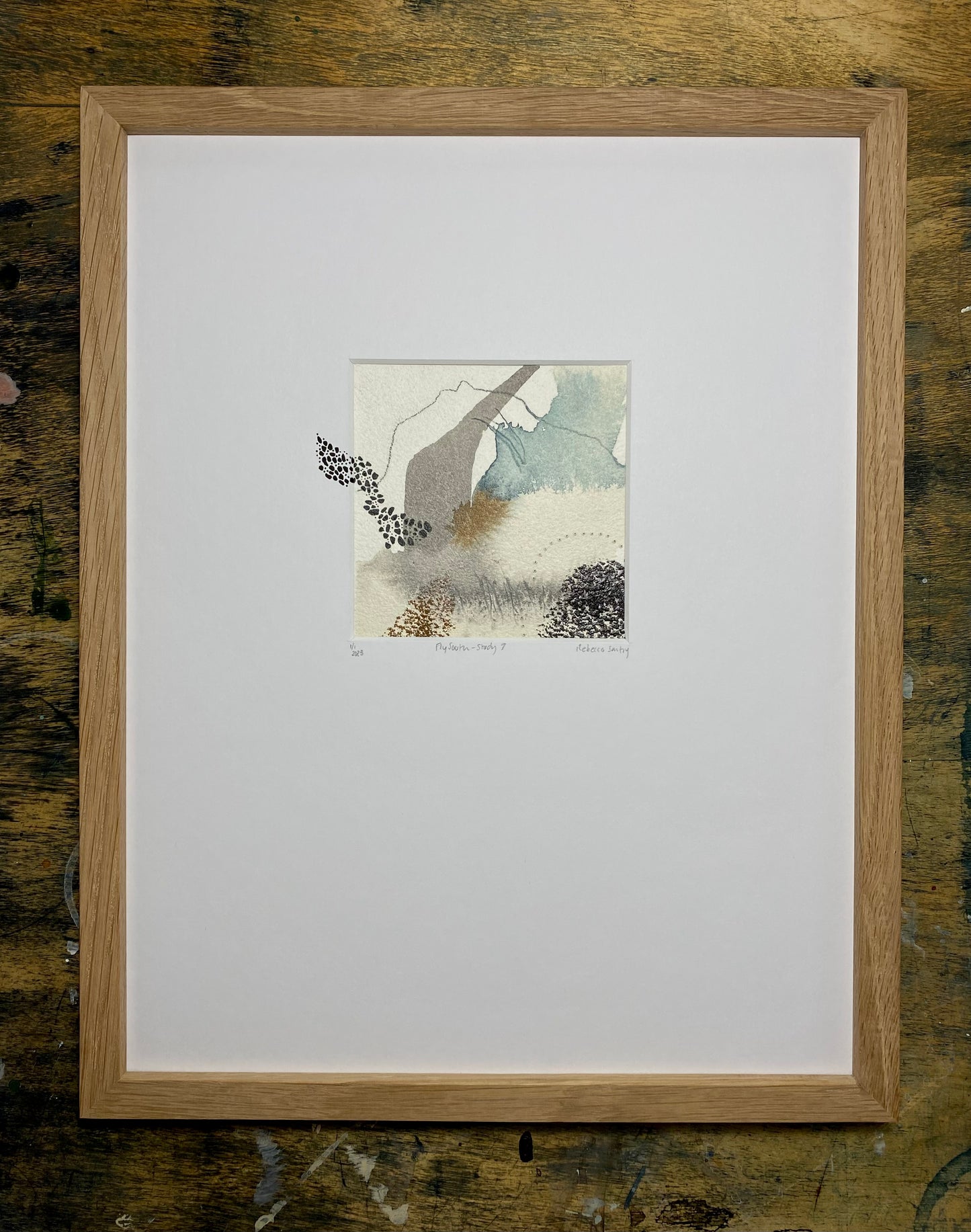 Fly South - Study 7