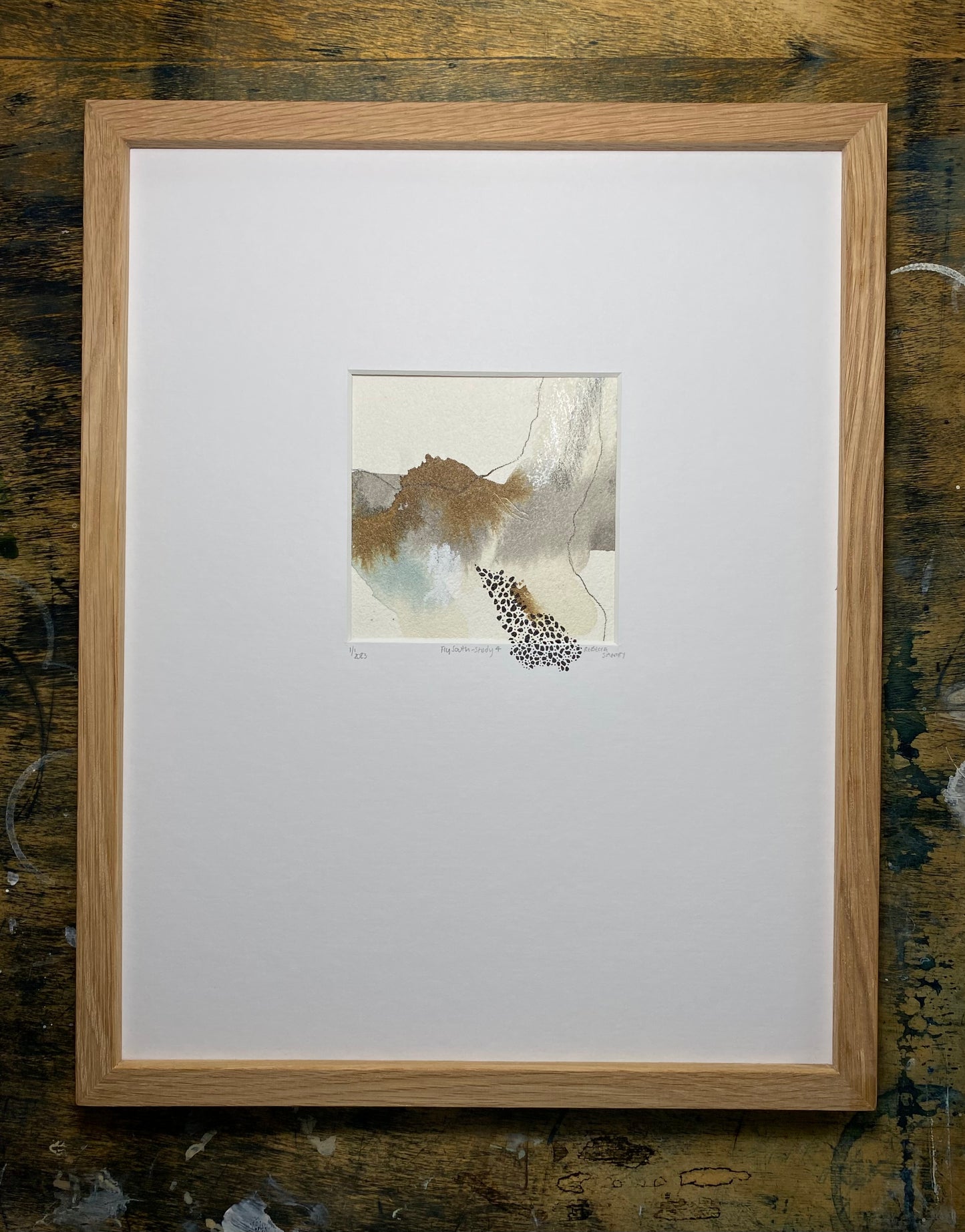 Fly South - Study 4