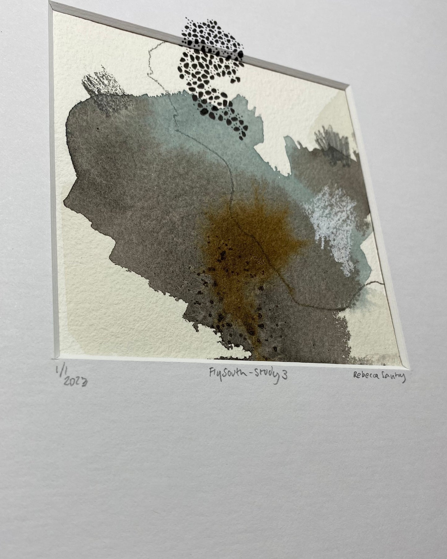 Fly South - Study 3