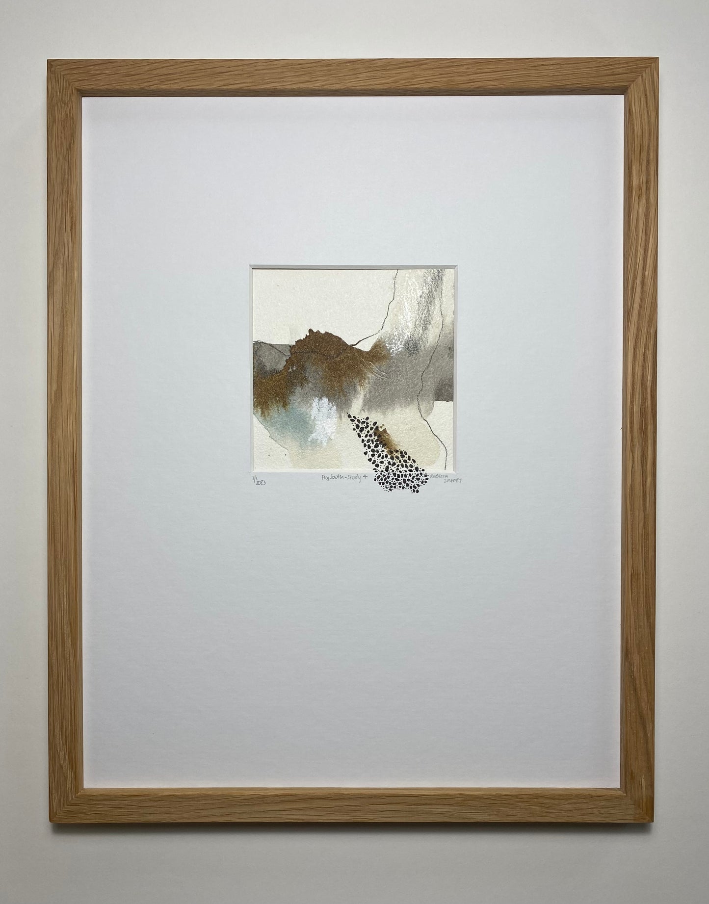 Fly South - Study 4