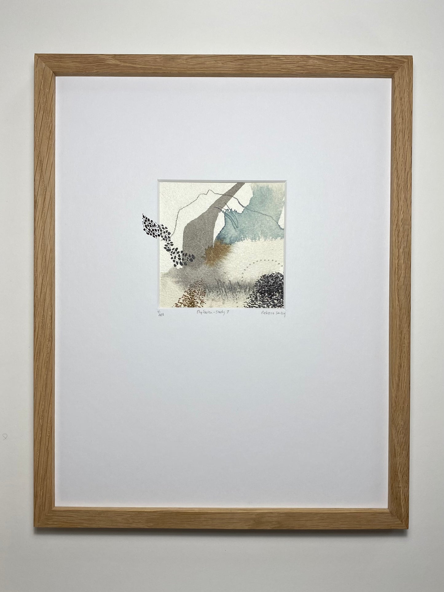 Fly South - Study 7