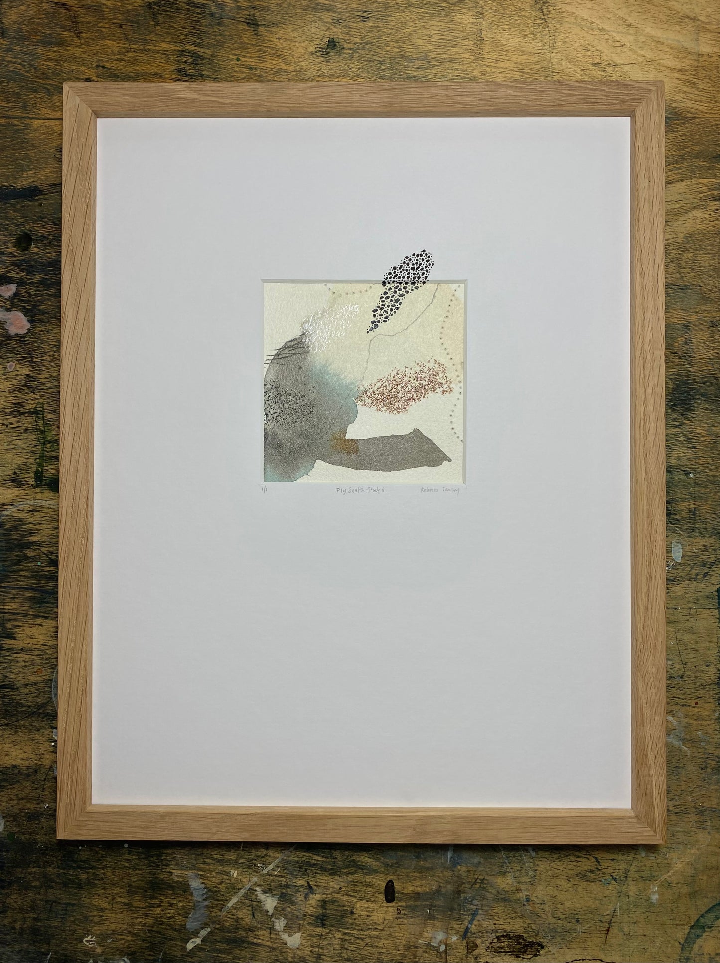 Fly South - Study 6
