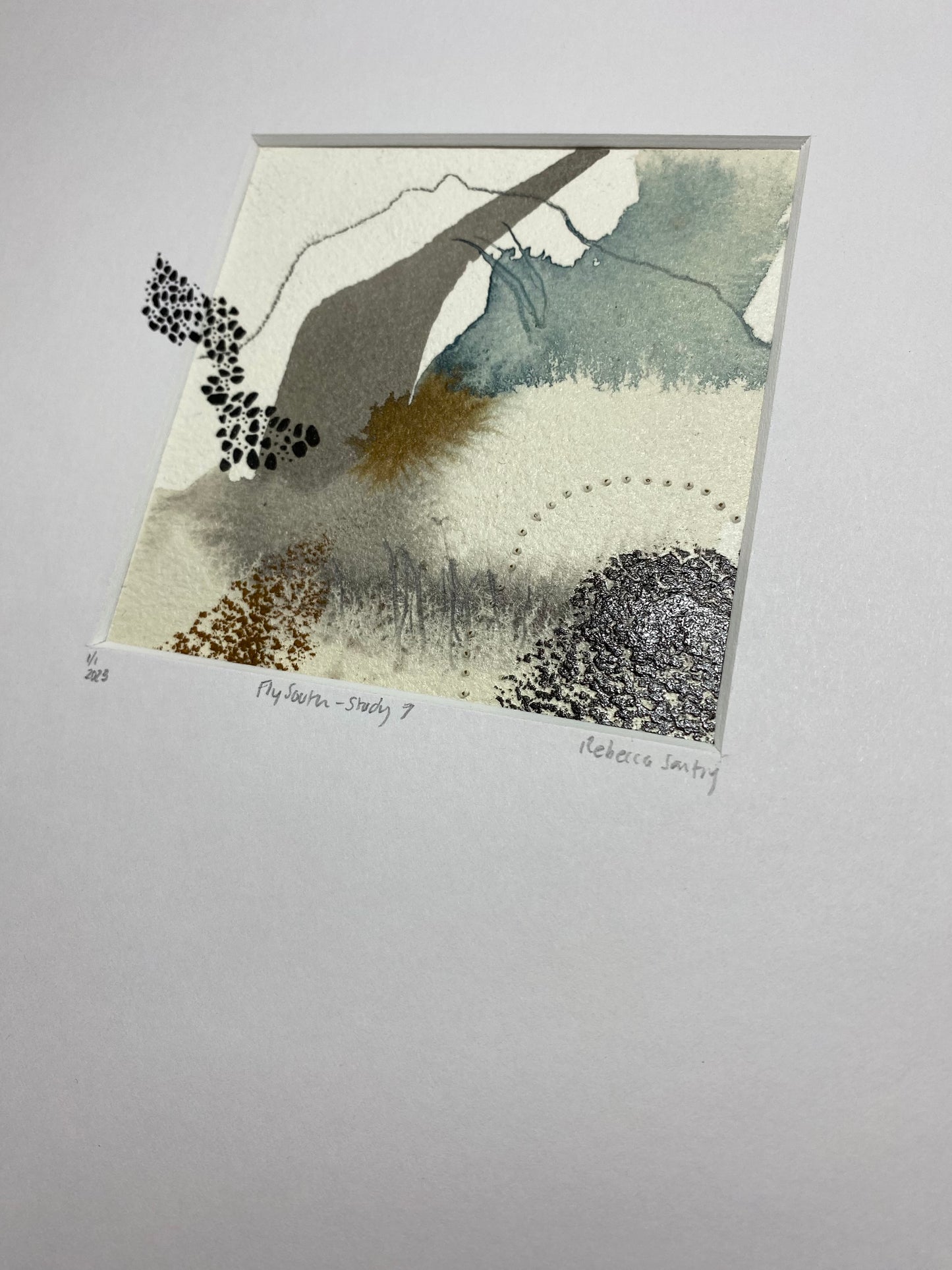 Fly South - Study 7