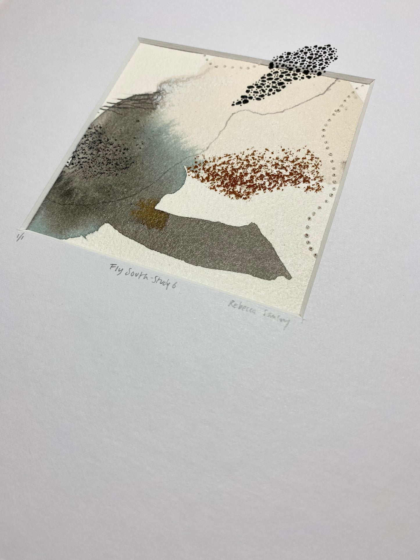 Fly South - Study 6