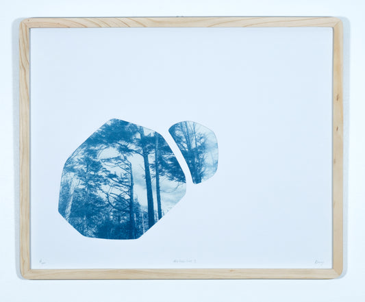 Wild Pacific Trail 2